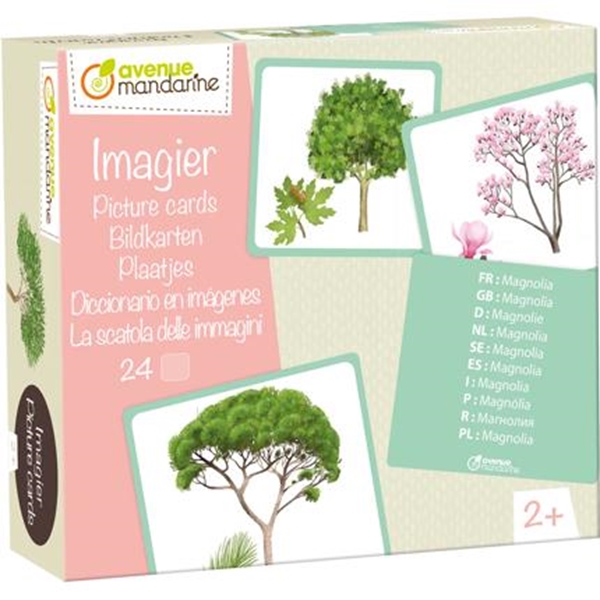 Image sur Imagier, arbres